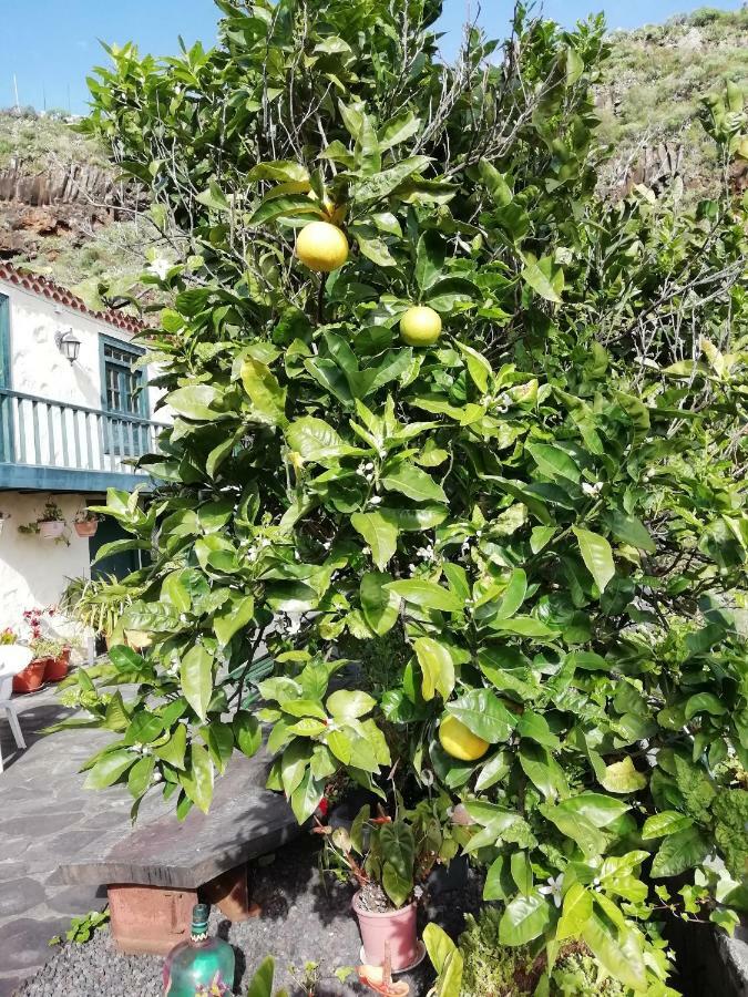 Große 19jh, Pool, Terrasse, Nahe Santa Cruz Santa Cruz de la Palma (Isla de la Palma)